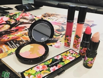 mac2017夏季fruity juicy系列有哪些？