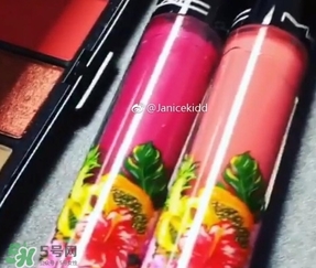 mac2017夏季fruity juicy系列有哪些？