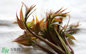 香椿怎么洗？香椿芽怎么洗干凈？