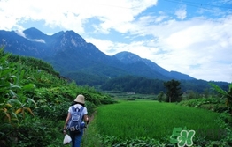 四月份去哪里旅游比較好？四月份最適合旅游的地方