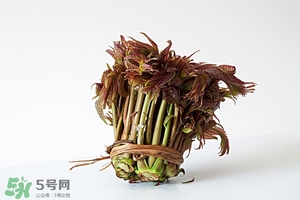 香椿樹什么時候發(fā)芽？香椿樹什么時候種植