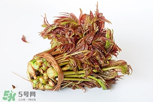 香椿樹什么時候發(fā)芽？香椿樹什么時候種植