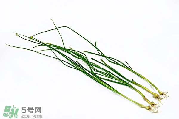 野生小根蒜的功效與作用 小根蒜有什么營(yíng)養(yǎng)價(jià)值