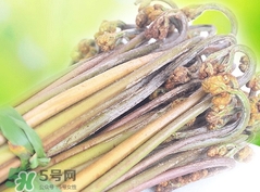 蕨菜要煮多久?蕨菜要煮多長時間?