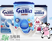 gallia佳利雅是什么品牌？gallia佳利雅奶粉是哪個(gè)國家的品牌？