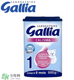 gallia佳利雅奶粉怎么沖？gallia佳利雅奶粉沖調(diào)方法？