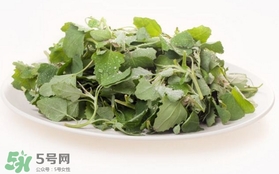 胃酸過(guò)多吃灰灰菜有好處嗎？胃酸過(guò)多能吃灰灰菜嗎