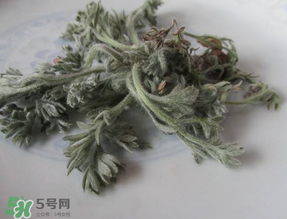 白蒿能治黃疸嗎？白蒿水可以治黃疸嗎？