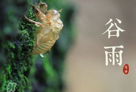 谷雨養(yǎng)生吃什么？谷雨養(yǎng)生常識