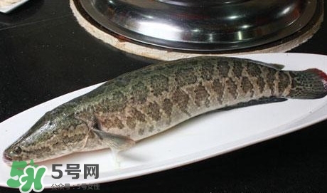 黑魚能和山藥一起吃嗎？山藥能和黑魚一起燉嗎