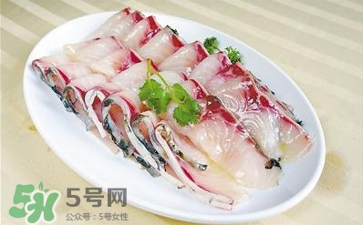 生魚是什么魚？生魚片是什么魚