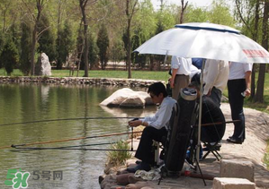 立夏好釣魚(yú)嗎？立夏怎么釣魚(yú)？