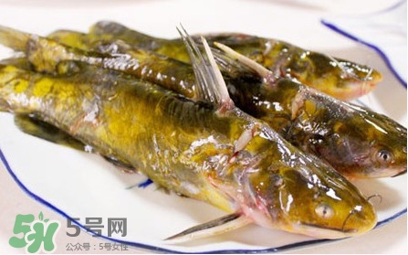 嘎魚(yú)怎么做最好吃？嘎魚(yú)的做法大全