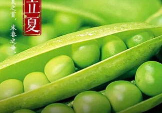 立夏吃什么好？立夏吃什么蔬菜？