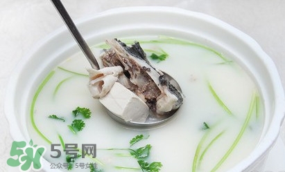 生魚(yú)怎么做好吃？生魚(yú)湯的做法和功效