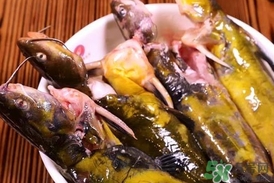 嘎魚是鯰魚嗎？嘎魚是黃辣丁嗎