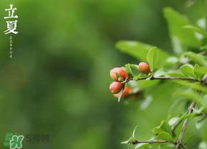 立夏要注意什么？立夏養(yǎng)生禁忌