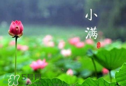 2017小滿是幾月幾日？小滿節(jié)氣養(yǎng)生