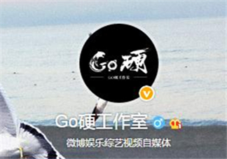 go硬工作室和卓偉有什么關(guān)系？go硬工作室是卓偉前員工成立的？