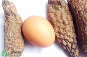 肉蓯蓉怎么吃壯陽(yáng)？哪些人不能吃肉蓯蓉