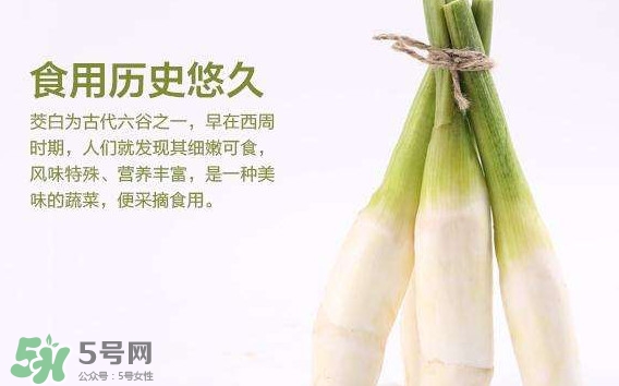 茭白是發(fā)物嗎？茭白是不是發(fā)物