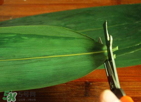 粽葉是干的好還是新鮮的好？干棕葉好還是新鮮棕葉好？