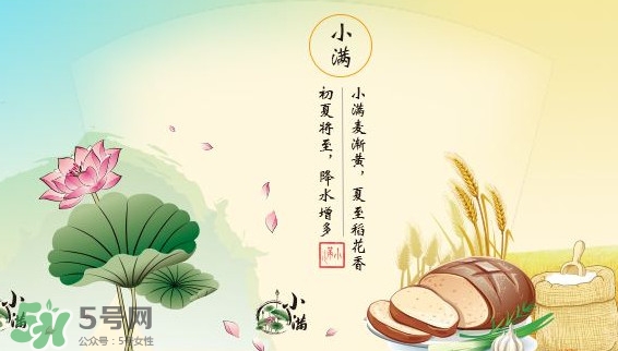 節(jié)氣小滿大滿是什么意思？24節(jié)氣為什么沒有大滿