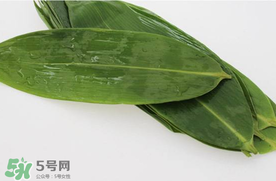 新鮮粽葉怎么處理？新鮮粽子葉怎樣處理？