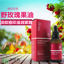 Trilogy玫瑰果油多少錢?Trilogy玫瑰果油價格