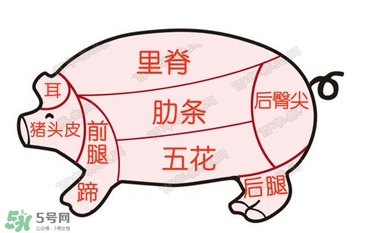 后臀尖多少錢(qián)一斤？豬后臀尖在哪？