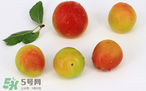 雙華李有什么營養(yǎng)？雙華李的營養(yǎng)價值