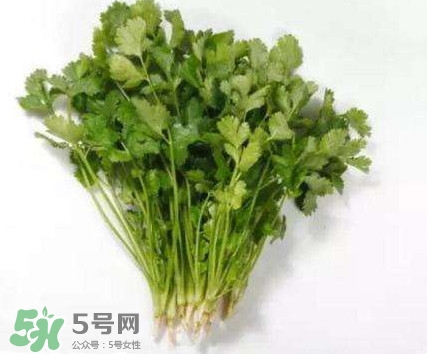 香菜洗腎有科學(xué)依據(jù)么？香菜能洗腎是真的嗎？