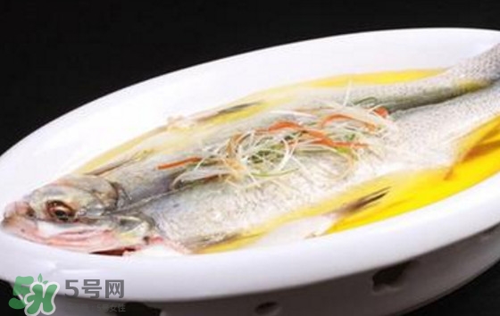 孕婦可以吃白條魚嗎？白條魚孕婦能吃嗎？