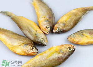 小黃魚不能和什么一起吃？小黃魚和什么相克？