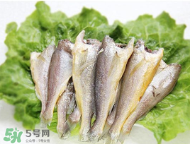 小黃魚可以養(yǎng)殖嗎？小黃魚能人工養(yǎng)殖嗎？