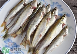 孕婦可以吃白條魚嗎？白條魚孕婦能吃嗎？