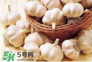 新蒜頭怎么保存不發(fā)芽？新蒜頭怎么存放