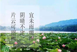 夏至是入伏嗎？夏至后多久入伏？