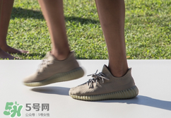 adidas yeezy 350 boost v2 dark green椰子350大地綠多少錢？