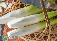 篙芭是什么菜?篙芭長(zhǎng)什么樣子?