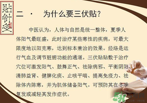 三伏貼能治什么??？三伏貼能治哪些病？