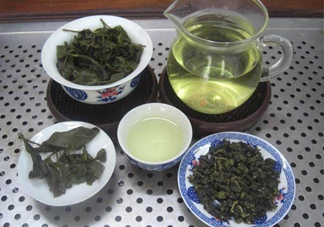 杜仲茶哪些人不適宜喝？杜仲茶飲用注意事項(xiàng)