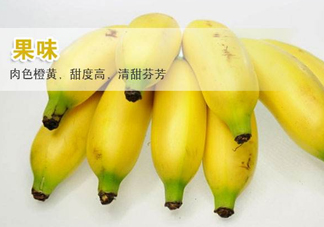 皇帝蕉多少錢一斤？2017皇帝蕉價(jià)格