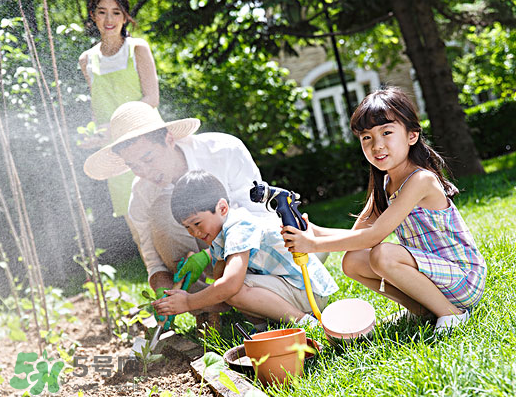 八月份可以種什么菜？八月份適合種植的蔬菜