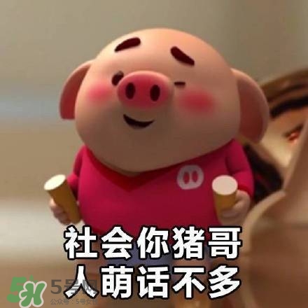 豬小屁表情包是什么？豬小屁表情包為什么這么火？