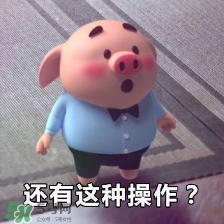 豬小屁表情包是什么？豬小屁表情包為什么這么火？