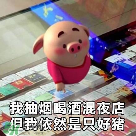 豬小屁表情包是什么？豬小屁表情包為什么這么火？