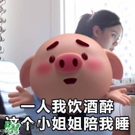 豬小屁多少錢一個(gè)？豬小屁哪里可以買到