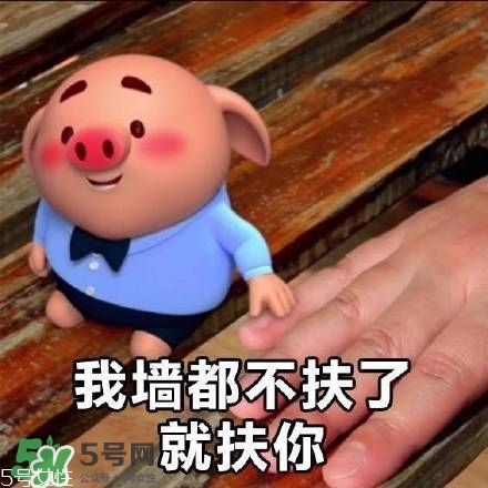 豬小屁多少錢一個(gè)？豬小屁哪里可以買到