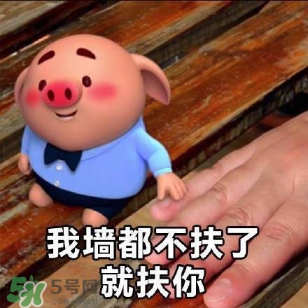 豬小屁表情包是什么？豬小屁表情包為什么這么火？